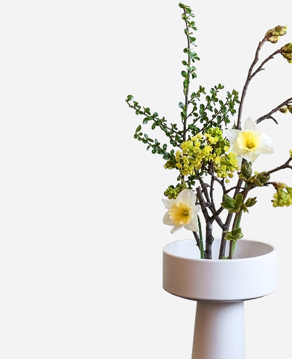 shop-gallery-img27 a